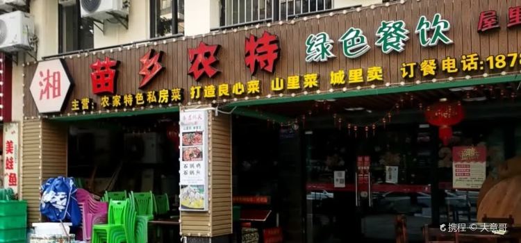 湘苗乡农特绿色餐饮