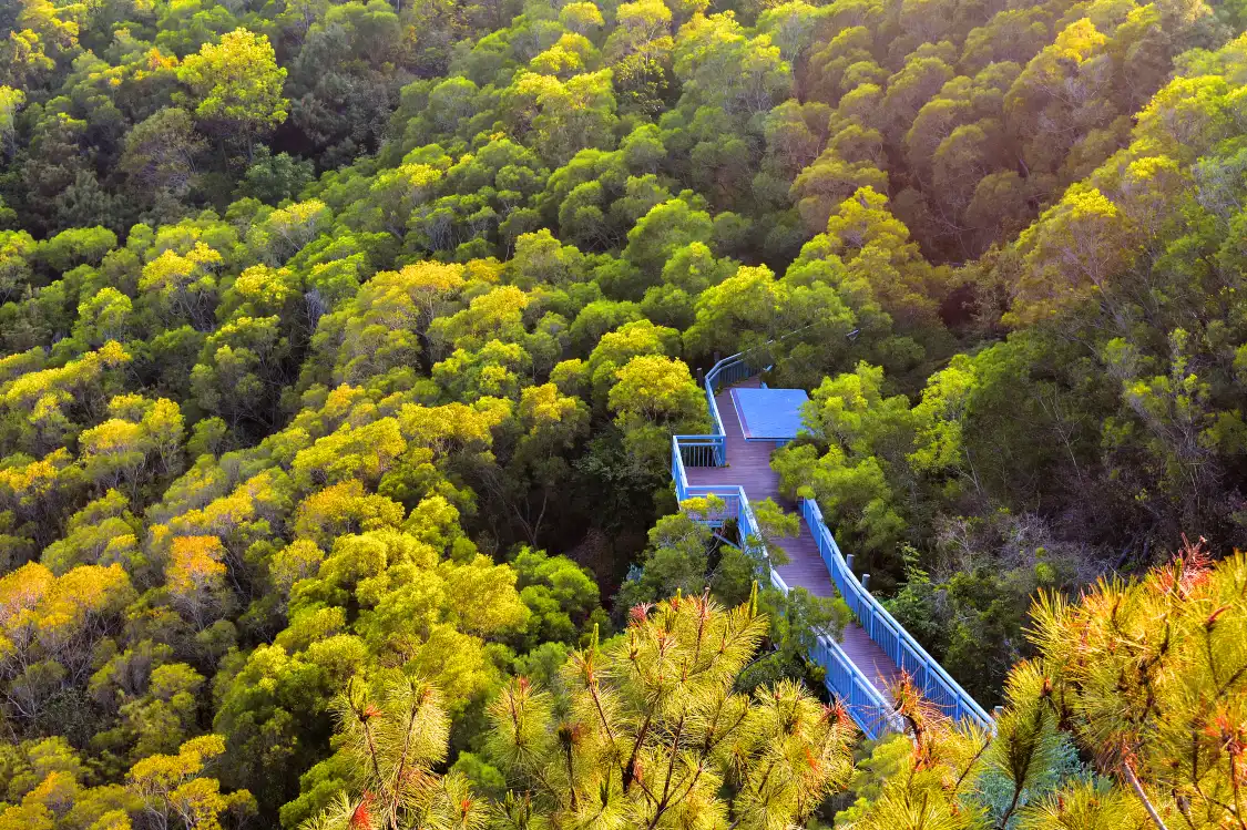 Hotel in zona Zhonggushan Scenic Area
