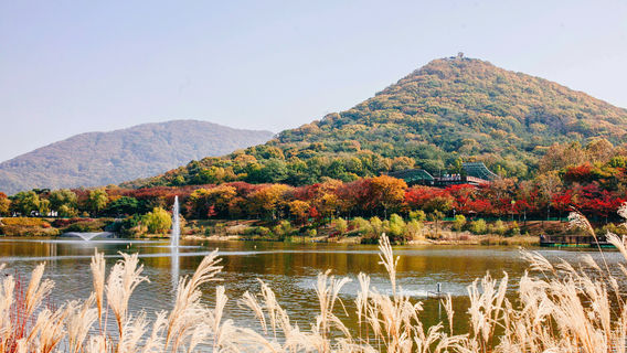 Incheon