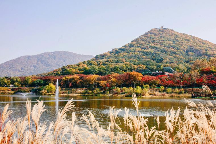 국내 당일 여행