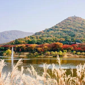 인천대공원