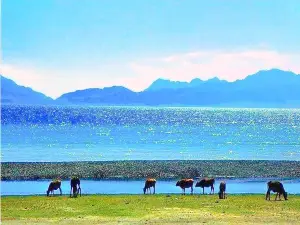 Attrazioni Acquatiche a Altay: le opzioni più popolari