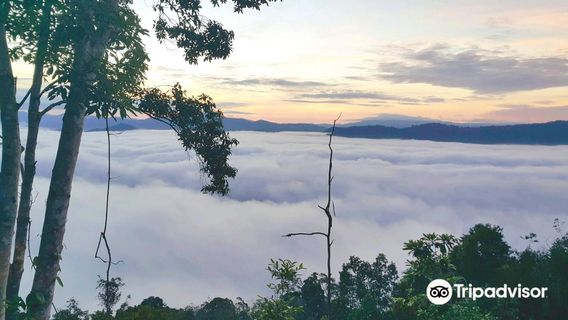 The Sea of Mist Aiyerweng