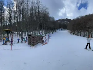 Big Mountain Of Viggiano