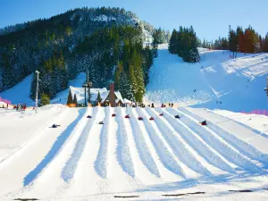 Mt. Hood Skibowl East