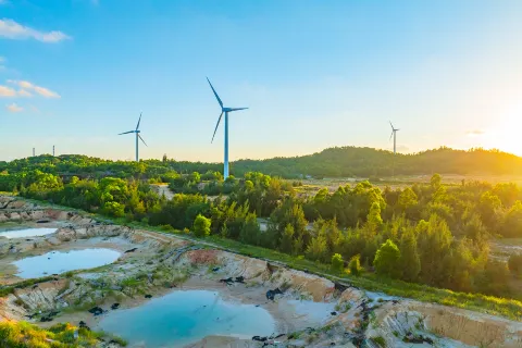 Windmill Island