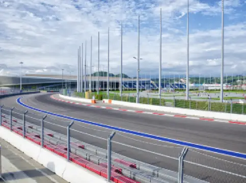 2014년 소치 올림픽