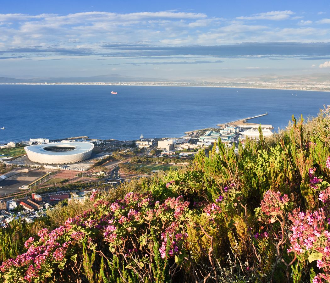 Green Point