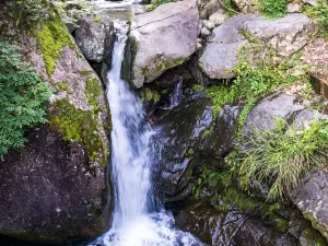 Danzhu Leisure Valley