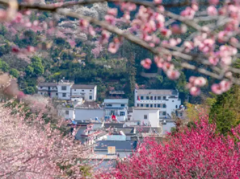 กิจกรรมในฤดูใบไม้ผลิ10ยอดนิยมในเสอเซียน