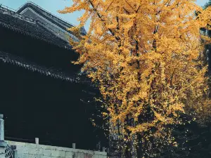 Yangming Temple