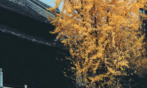 Yangming Temple