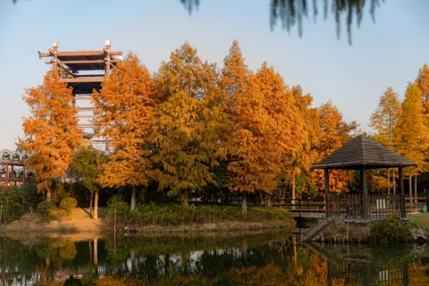Dongtai Xixi Fairy Love Scenic Area