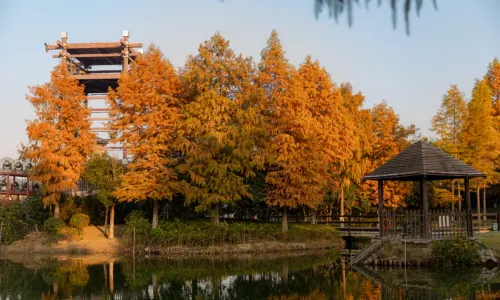 Dongtai Xixi Fairy Love Scenic Area
