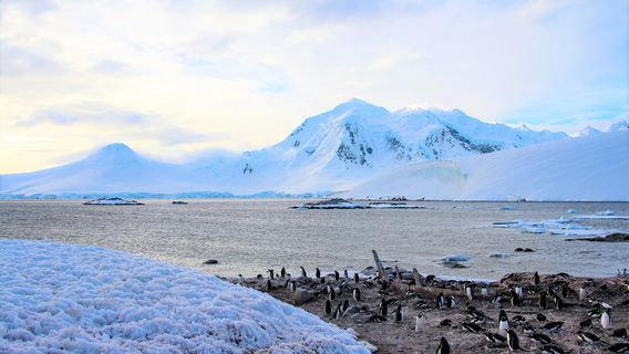 Petermann Island