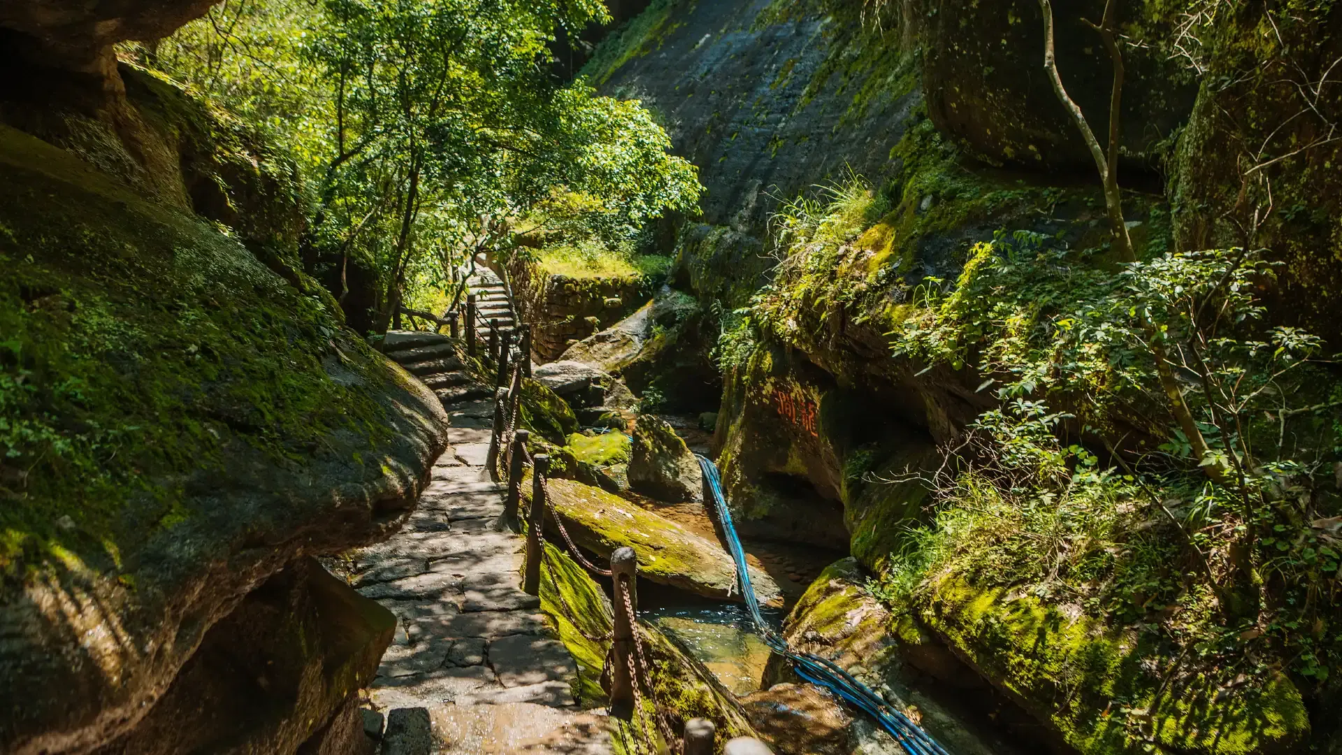 Hotels near Dahongpao(Big Red Robe Tea) Scenic Spot