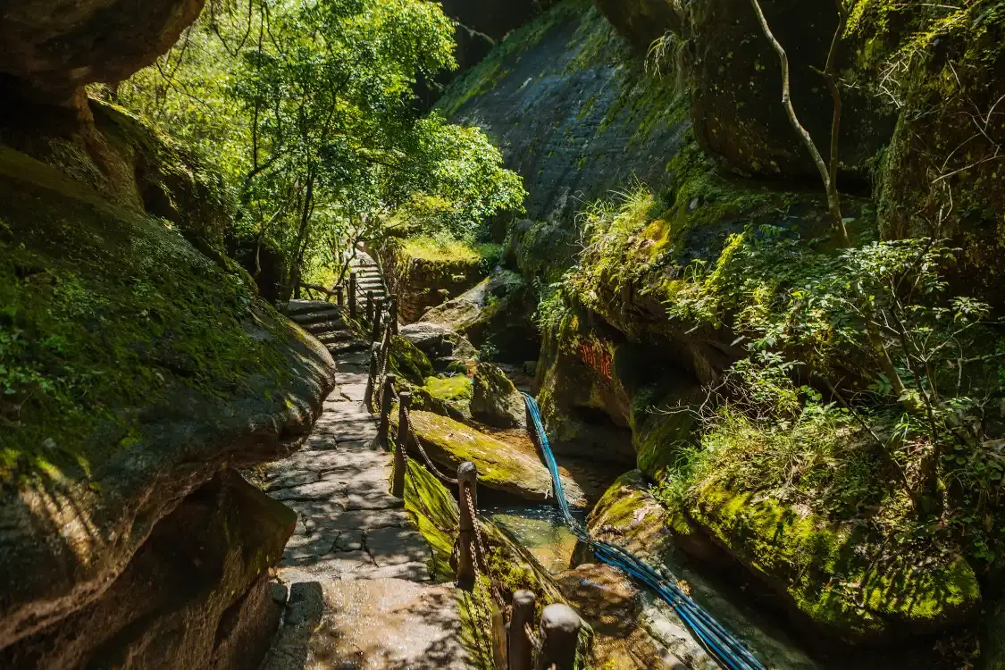 大紅袍景区周辺のホテル