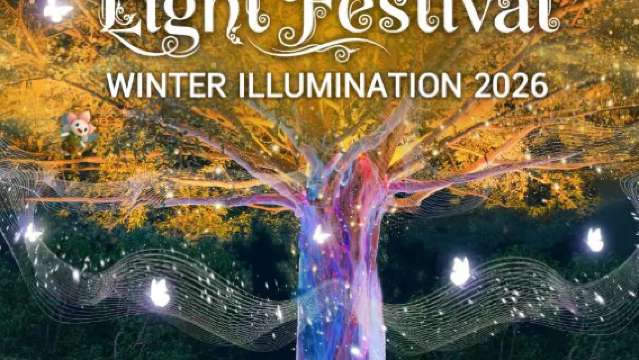 Nasatta Light Festival: Winter Illumination