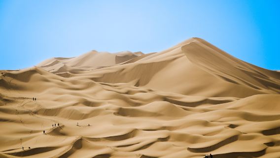 Gurbantunggut Desert