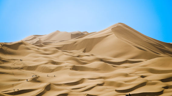 Gurbantunggut Desert