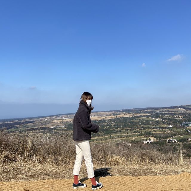 altTitle