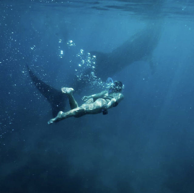 Whalewatching in Oslob