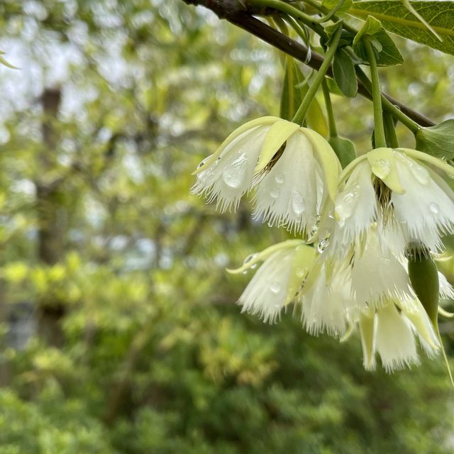 慈山寺佛教藝術博物館 "真"佛們清淨地