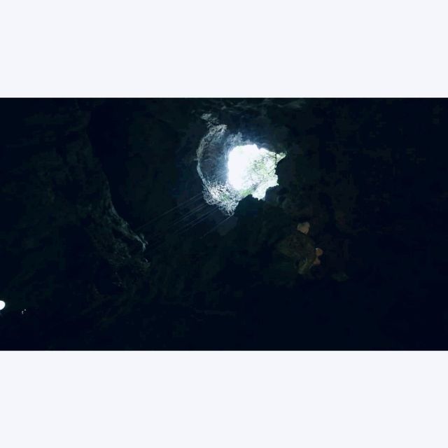 altTitle