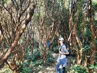 塔門真係幾啱我呢D行山BB班 # 離島好去處
