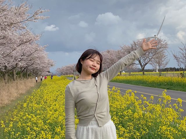 봄날의 제주 .(*´◡`*).