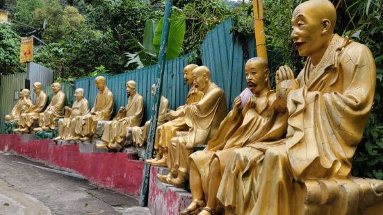 由沙田火車站往排頭村方向出，在政府合署與寶福山中間小路直上即