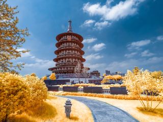 vol Qingdao Luoyang direct