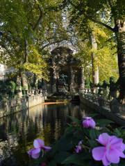 Medici Fountain