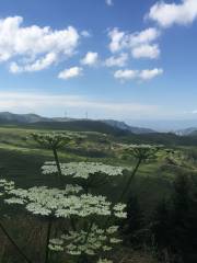 Liufeng Lake Nature Reserve