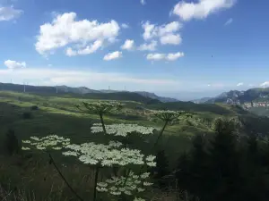 Liufeng Lake Nature Reserve