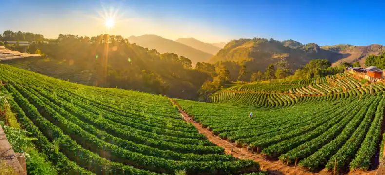 โรงแรมใกล้Culture Center of Thai Mueang District