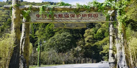 甲勿海大熊貓保護研究園