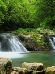 Huangsang National Nature Reserve