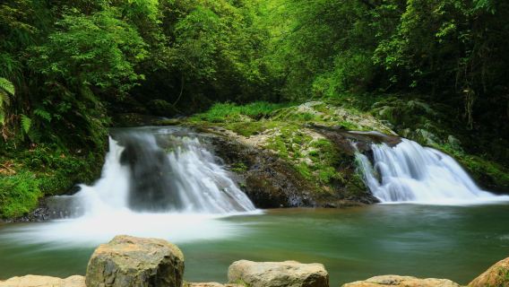 Huangsang National Nature Reserve