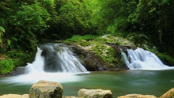 Huangsang National Nature Reserve