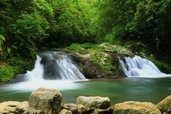 Huangsang National Nature Reserve