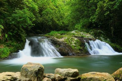 Huangsang National Nature Reserve