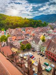 Freiburg Cathedral