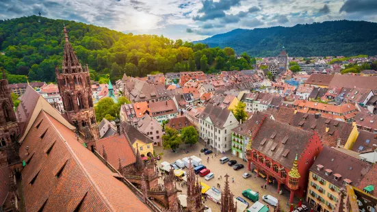 Freiburg Cathedral