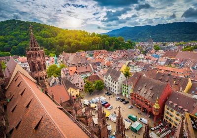 Freiburg Cathedral