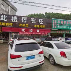 此樓香農莊張用戶圖片