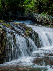 Longcang Valley Forest Park