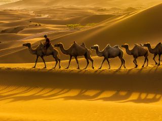 Direct flight from Shanghai to Turpan tickets