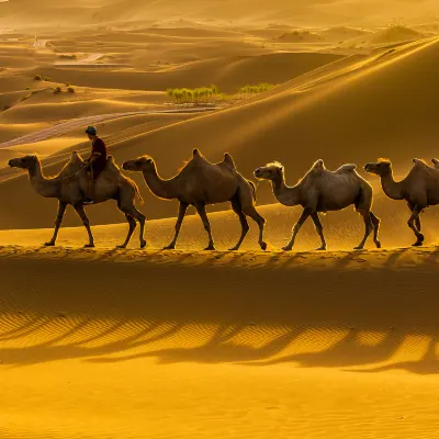 Отели с услугой парковкой в г. Иу