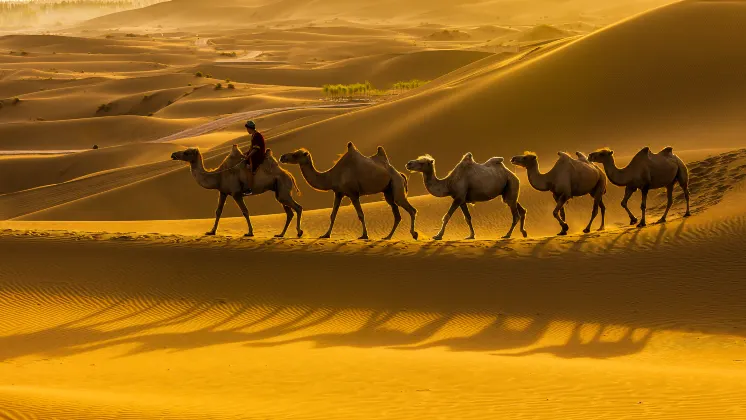 Отели рядом со станцией 